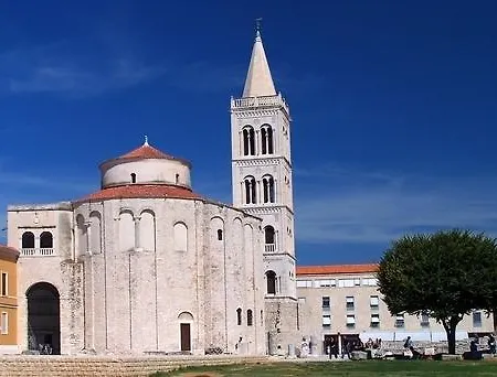 Anita Zadar